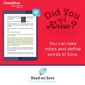 Video Tutorial - Tips for using Sora